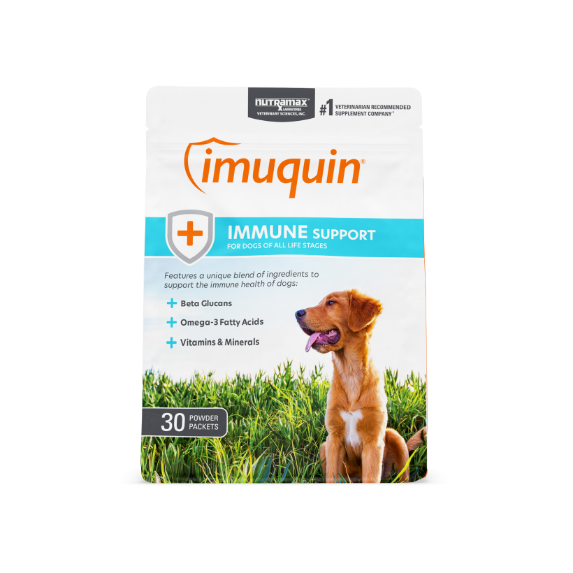 Nutramax Imuquin for Dogs, 30 Packets