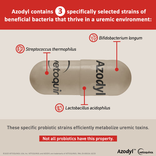 Azodyl Renal Support Supplement for Dogs and Cats, 90ct