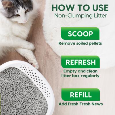 Fresh News Unscented Non-Clumping Paper Cat Litter, 12lb