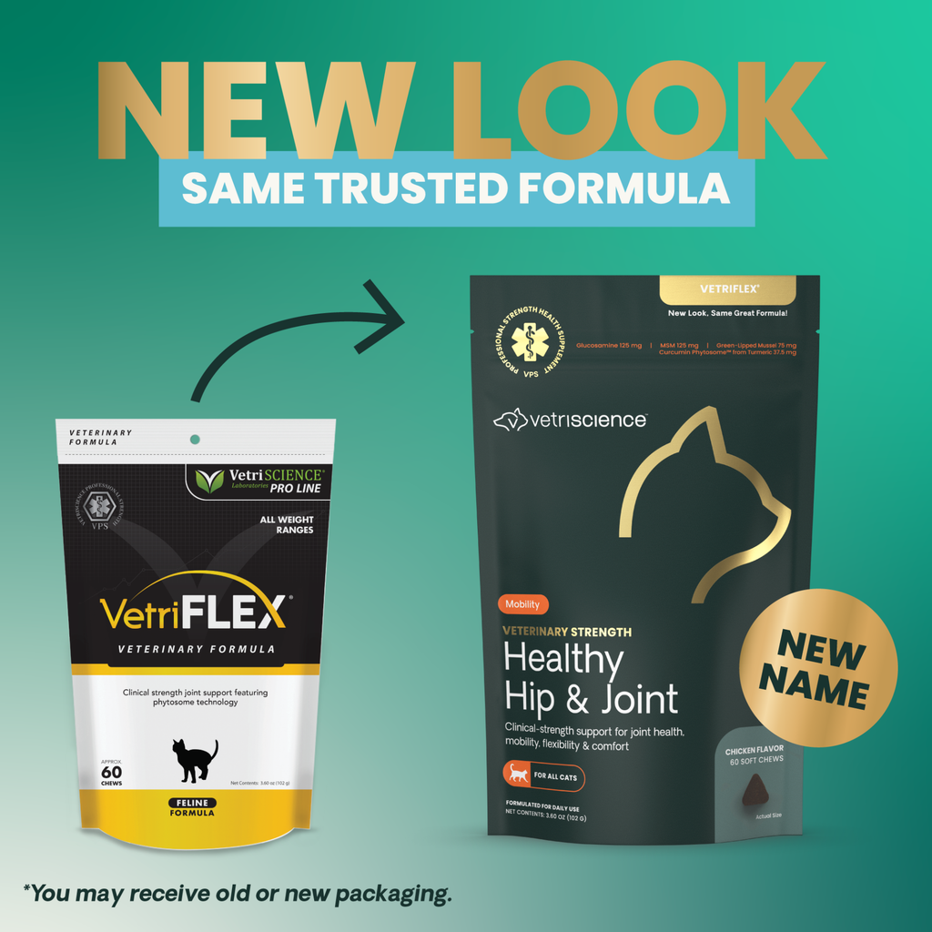 Veterinary Strength Healthy Hip & Joint for Cats, 60ct