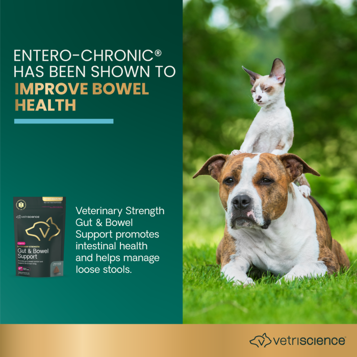 Veterinary Strength Gut & Bowel Support Chews for Cats & Dogs, 60ct Bag