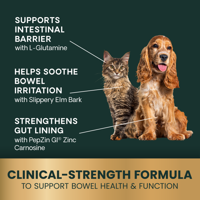 Veterinary Strength Gut & Bowel Support Chews for Cats & Dogs, 60ct Bag