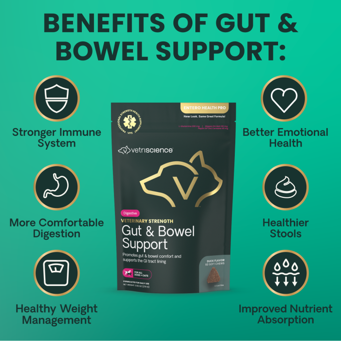 Veterinary Strength Gut & Bowel Support Chews for Cats & Dogs, 60ct Bag