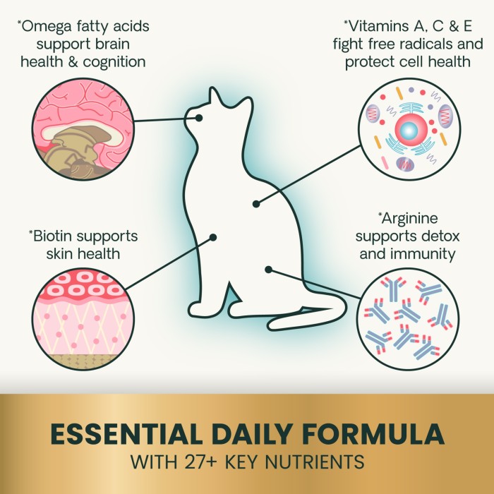 VetriScience 27+ Active Health (NuCat) Multivitamin for Cats, 30ct Bag