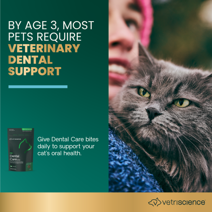 Perio-Plus Dental Care Bites for Cats, 60ct