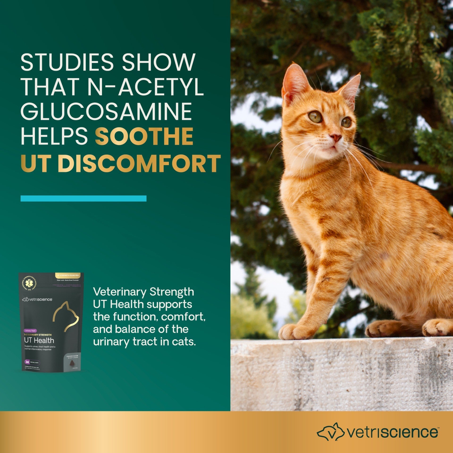 Veterinary Strength UT Health Soft Chews for Cats, 90ct