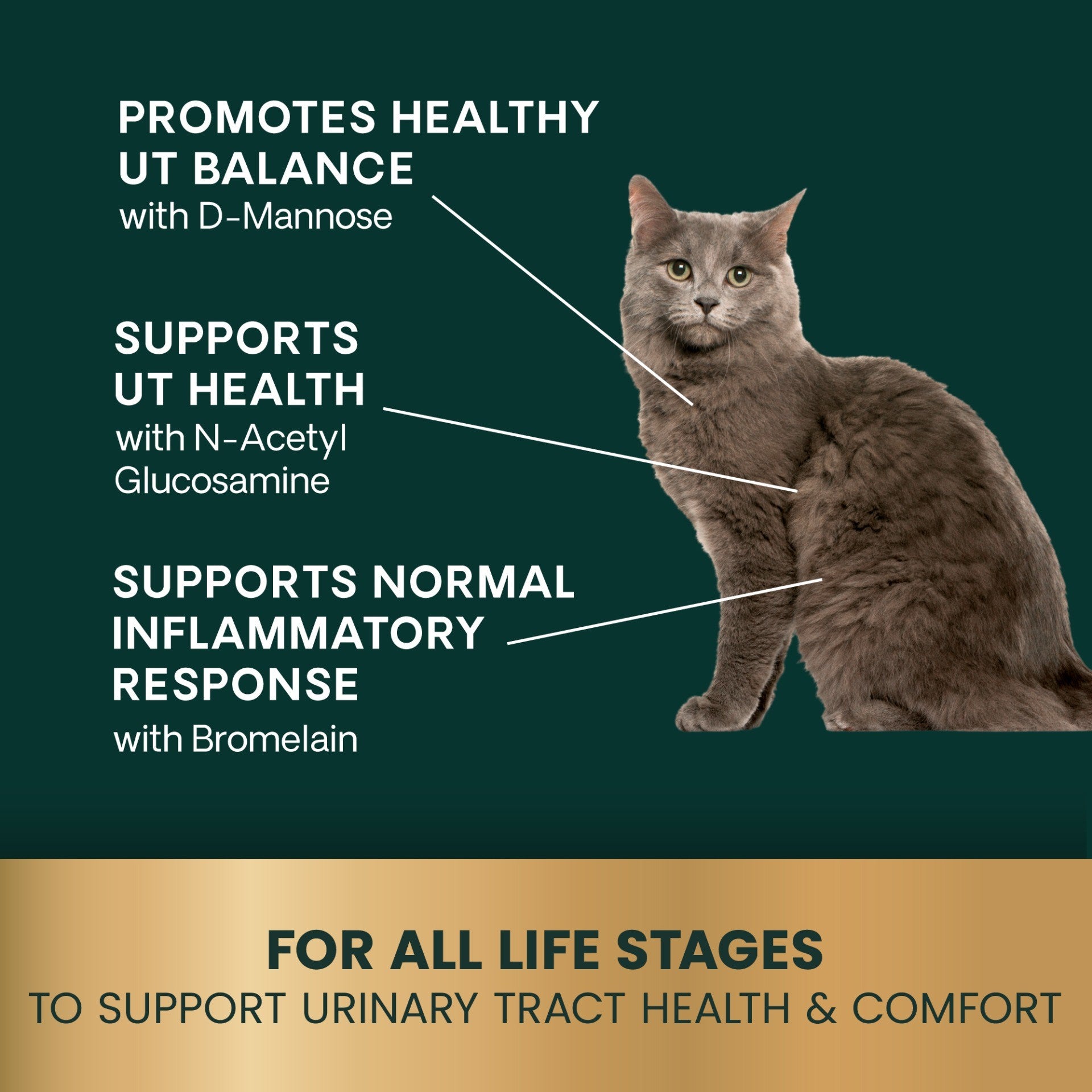 Veterinary Strength UT Health Soft Chews for Cats, 90ct