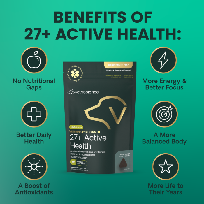 Veterinary Strength 27+ Active Health Soft Chews for Dogs 60 Count Bag