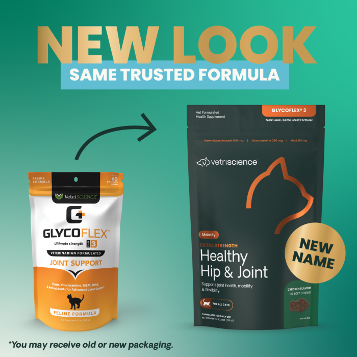 Extra Strength Healthy Hip & Joint (GlycoFlex 3) Soft Chews for Cats, 60ct