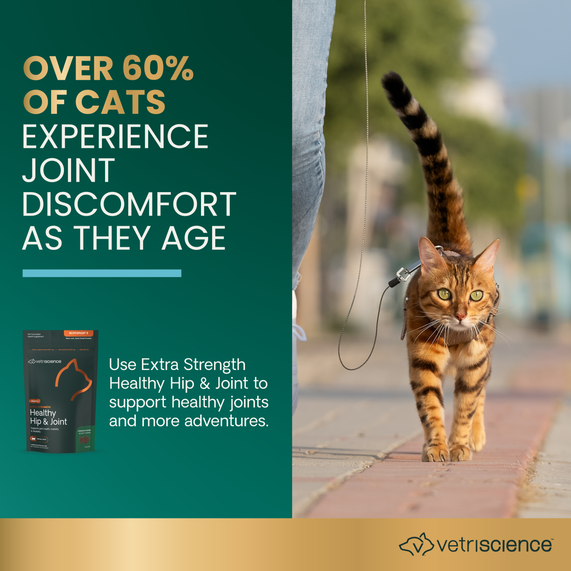 Extra Strength Healthy Hip & Joint (GlycoFlex 3) Soft Chews for Cats, 60ct