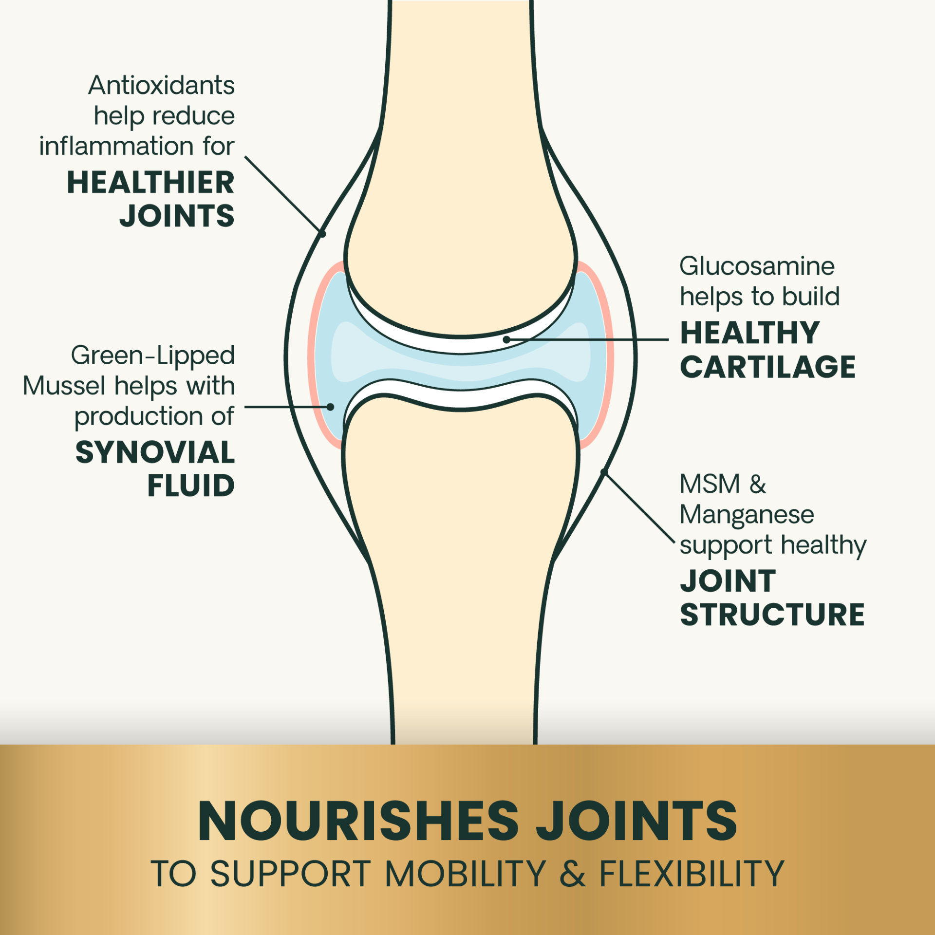 Extra Strength Healthy Hip & Joint (GlycoFlex 3) Soft Chews for Cats, 60ct