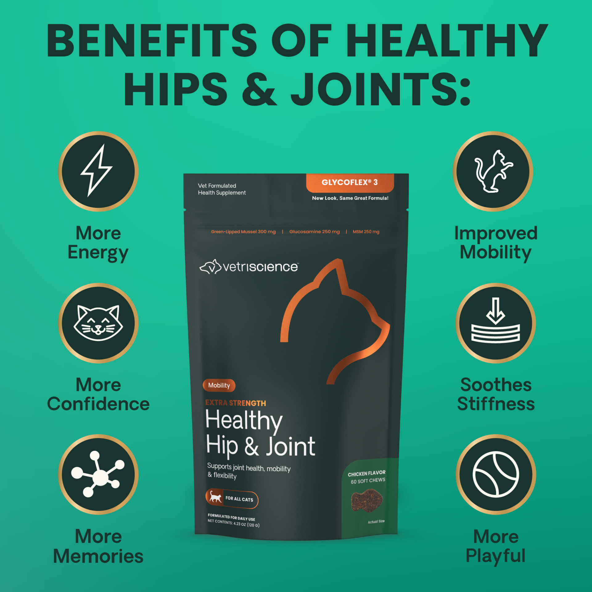 Extra Strength Healthy Hip & Joint (GlycoFlex 3) Soft Chews for Cats, 60ct