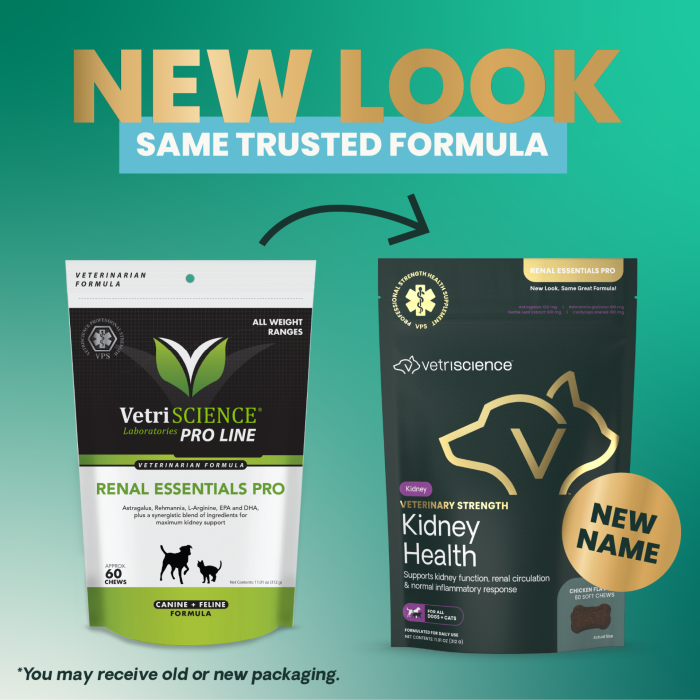 Veterinary Strength Kidney Health for Dogs & Cats, 60ct