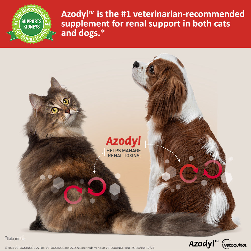Azodyl Renal Support Supplement for Dogs and Cats, 90ct