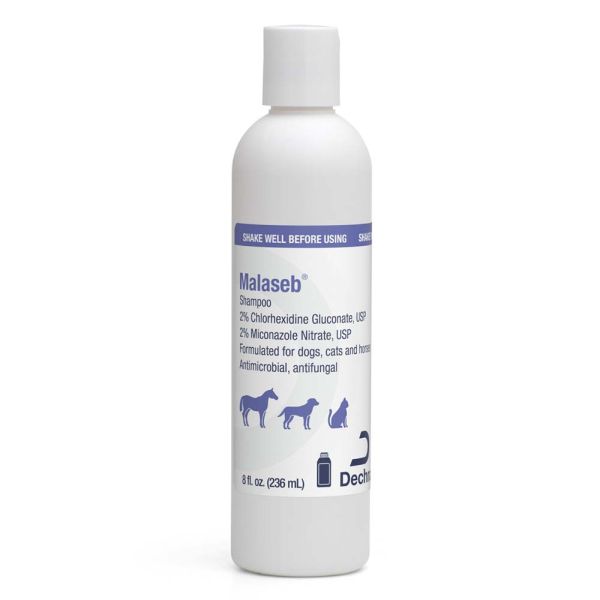 Malaseb® Shampoo, 8oz