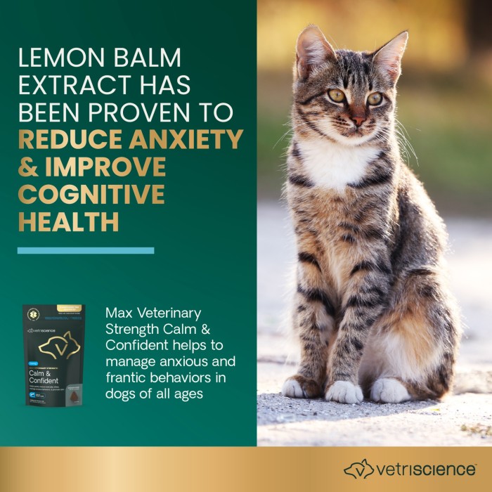 VetriScience Max Veterinary Strength Calm & Confident (Composure Pro) Soft Chew for Dogs & Cats