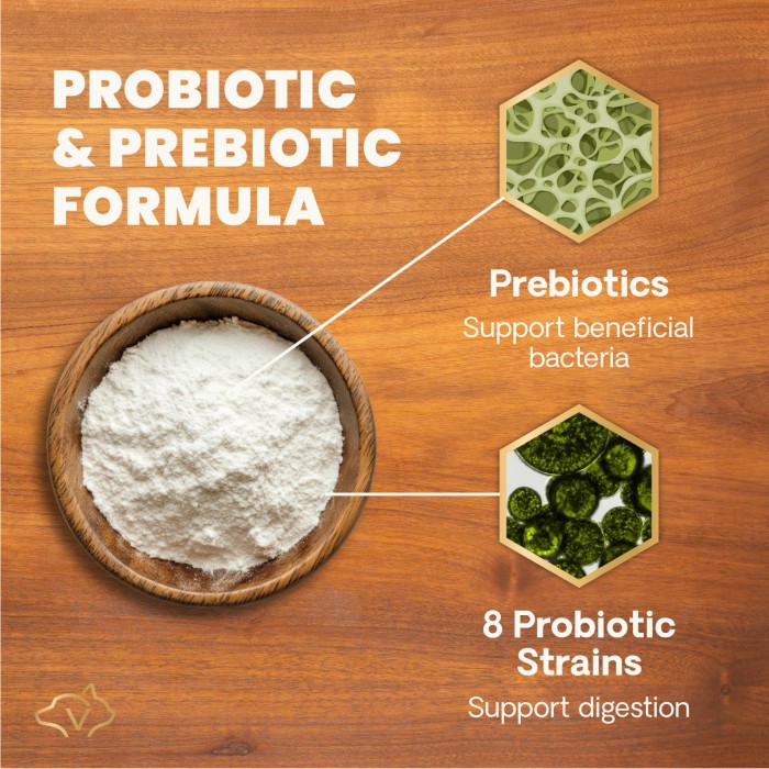 Entero Flora PRO Powder for Cats and Dogs 60g Jar