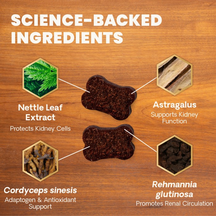 Veterinary Strength Kidney Health for Dogs & Cats, 60ct