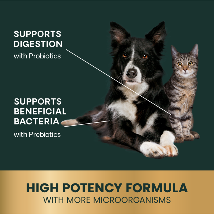 Entero Flora PRO Powder for Cats and Dogs 60g Jar