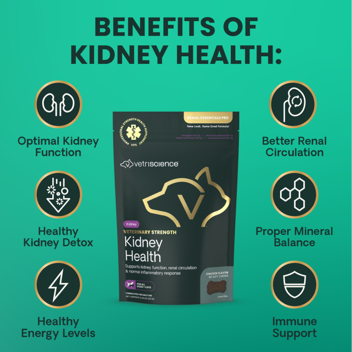 Veterinary Strength Kidney Health for Dogs & Cats, 60ct