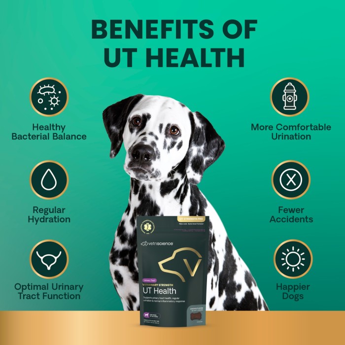 Veterinary Strength UT Health Soft Chews for Dogs, 60ct bag