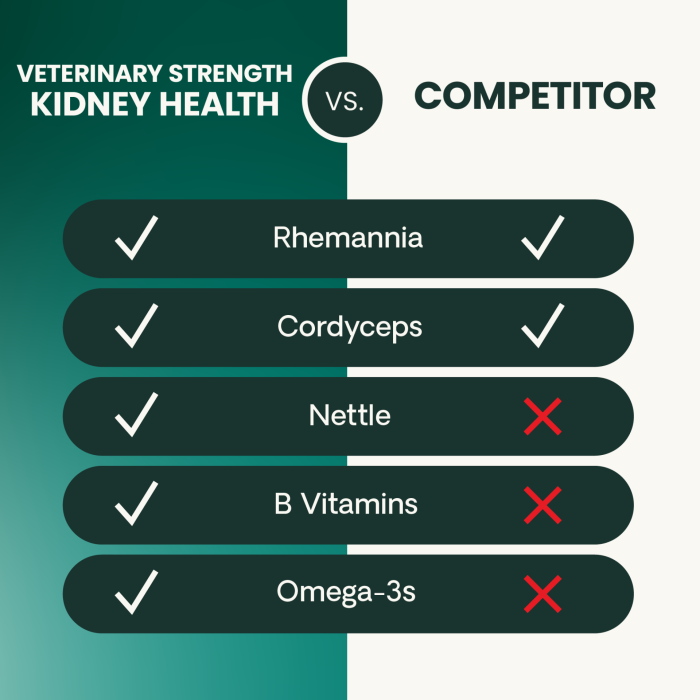 Veterinary Strength Kidney Health for Dogs & Cats, 60ct
