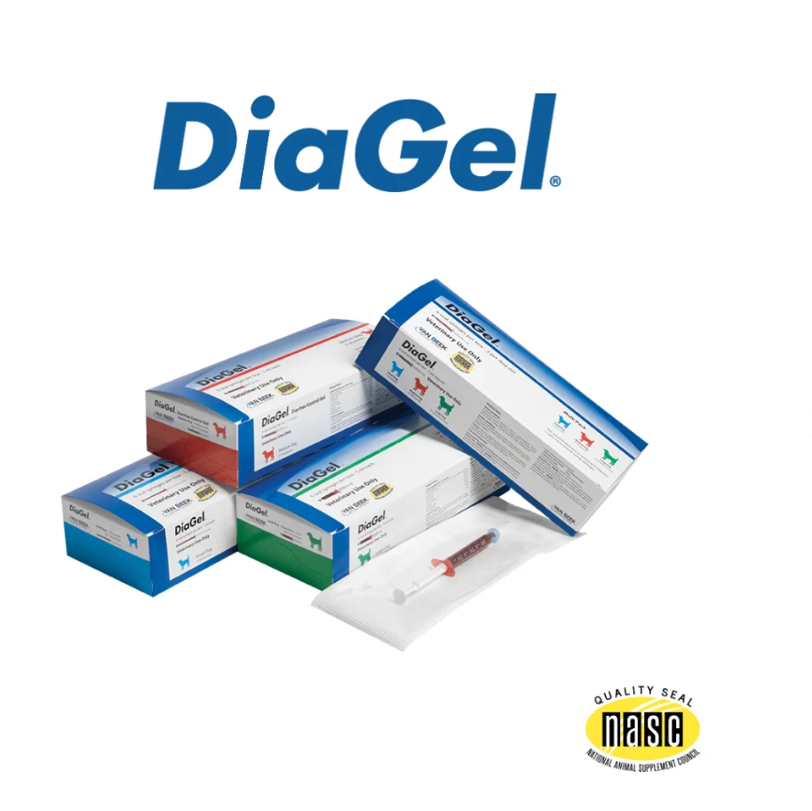DiaGel Anti-Diarrheal Gel Syringe
