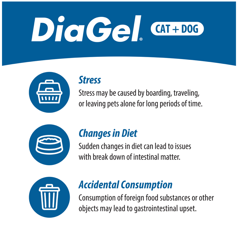 DiaGel Anti-Diarrheal Gel Syringe