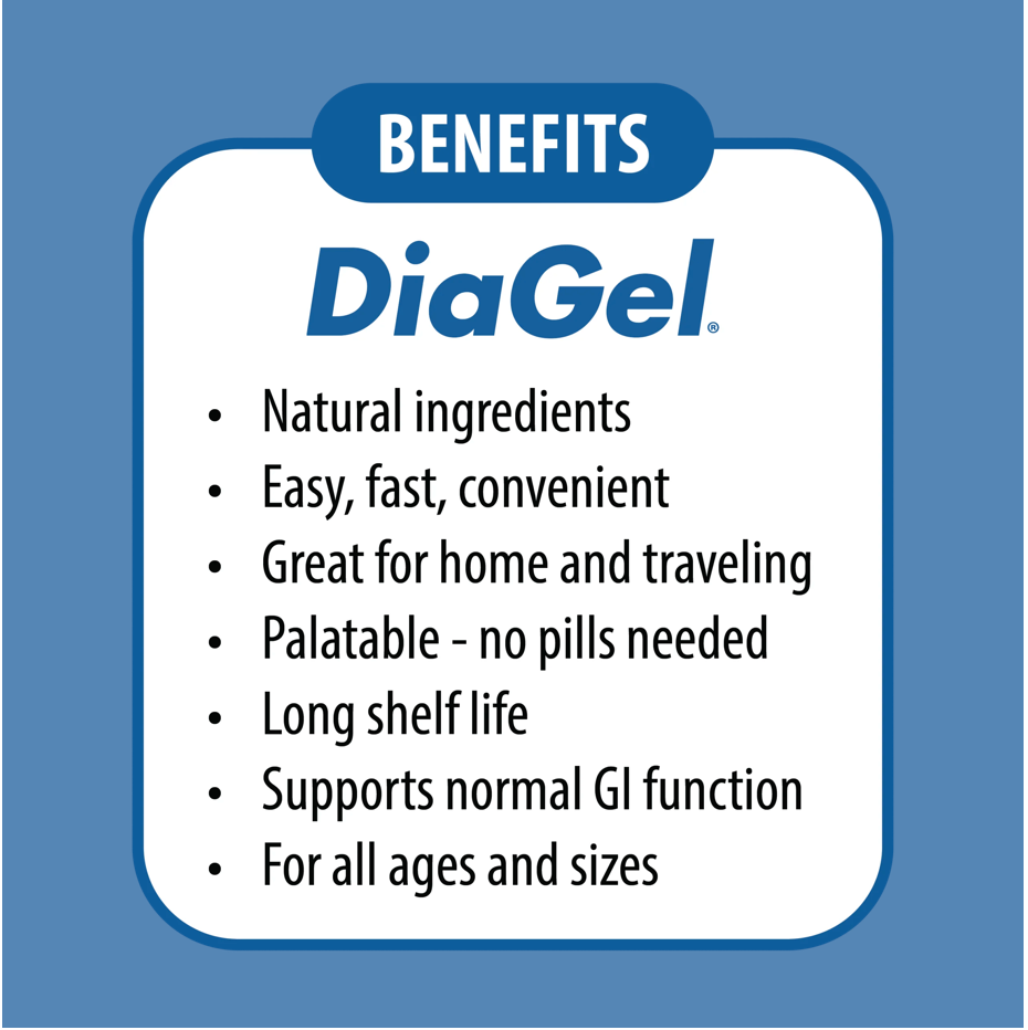 DiaGel Anti-Diarrheal Gel Syringe