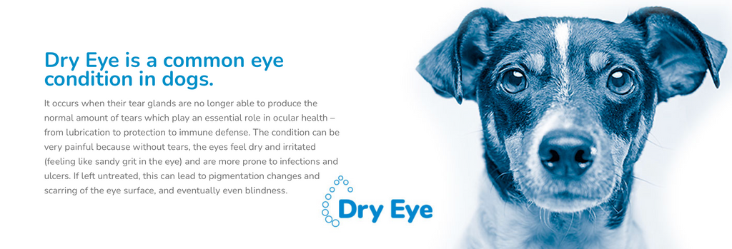 Ocunovis ProCare BioHAnce Gel Eye Drops for Dogs and Cats, 5mL