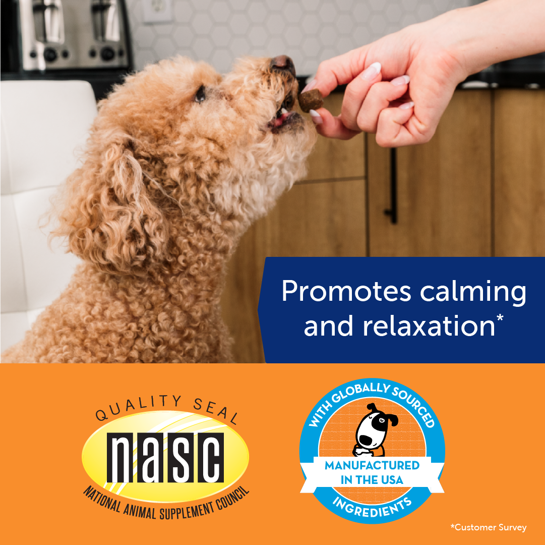 ThunderBites (ThunderWunders) Calming Soft Chews for Dogs, 60ct