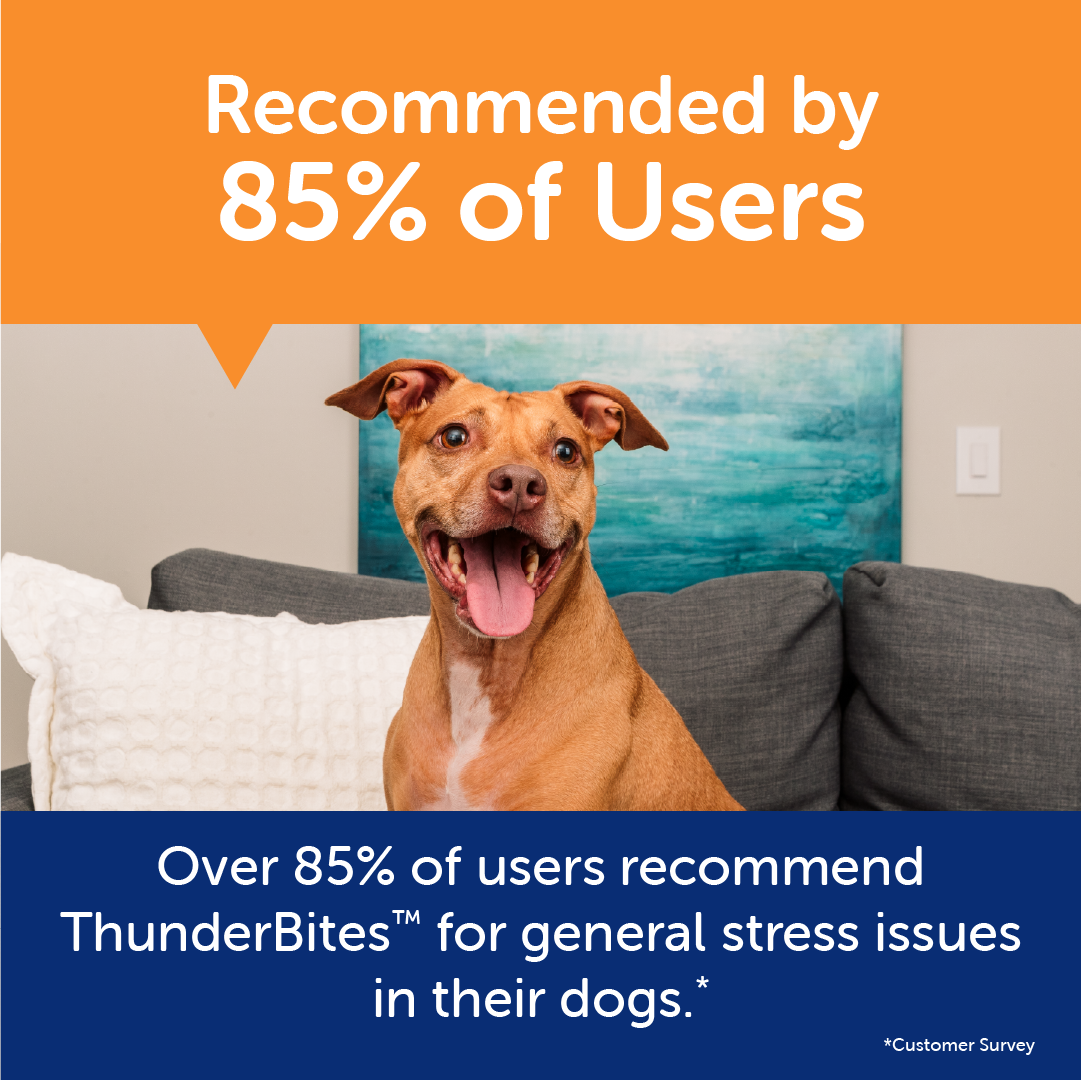 ThunderBites (ThunderWunders) Calming Soft Chews for Dogs, 60ct