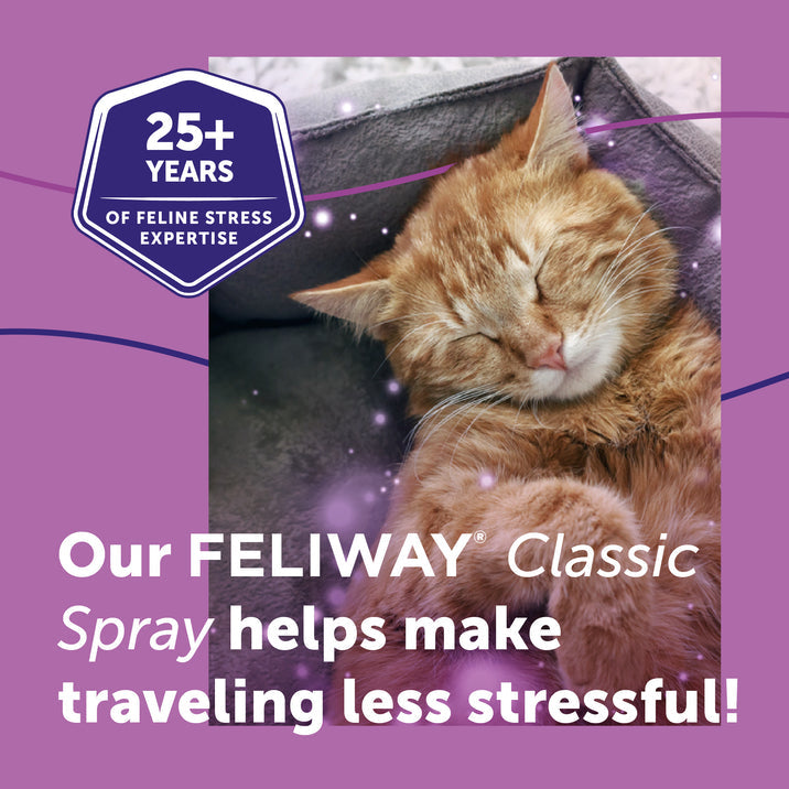 Feliway Spray