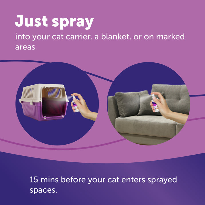 Feliway Spray