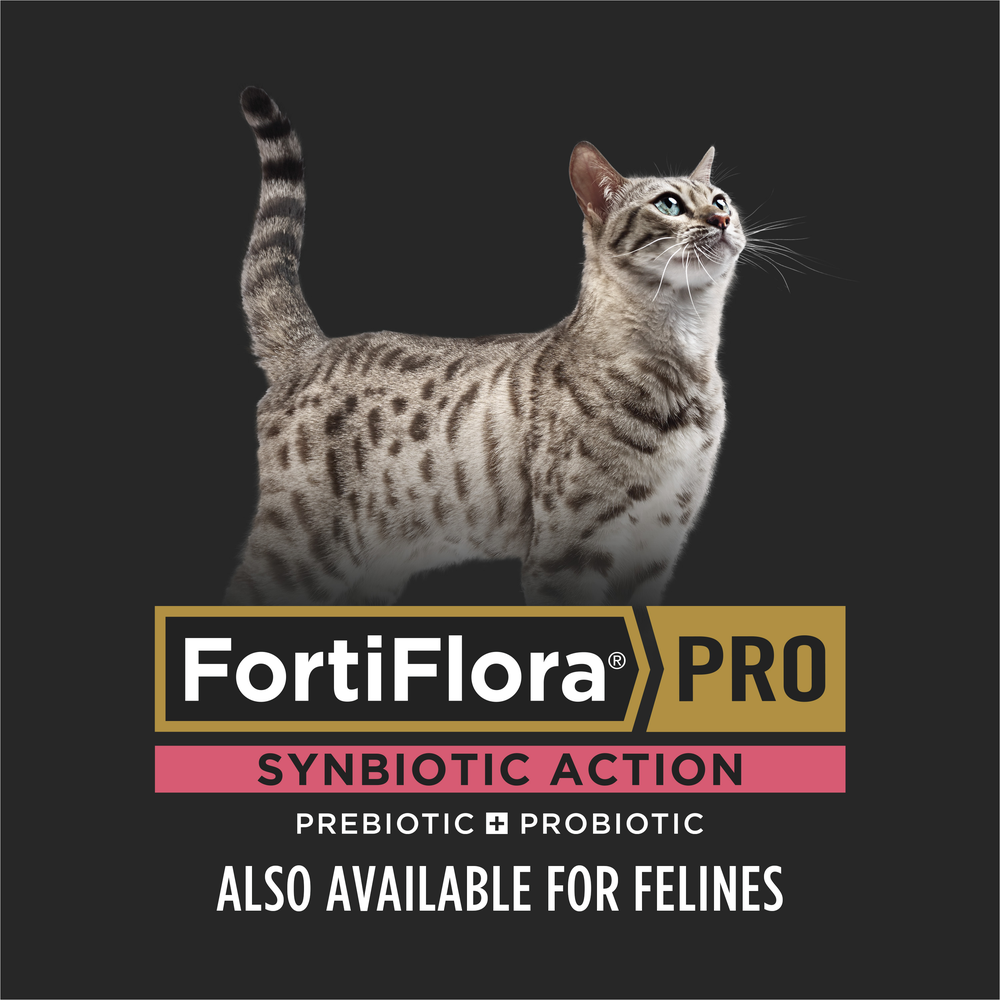 Feline FortiFlora Pro SA Sprinkle Packets, 30ct
