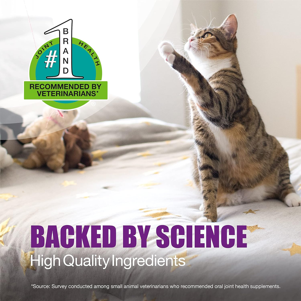 Nutramax Dasuquin for Cats, 84ct Soft Chews