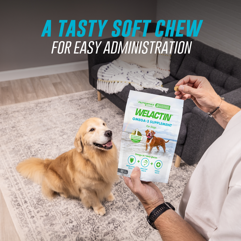 Nutramax Welactin for Dogs Soft Chews, 60ct