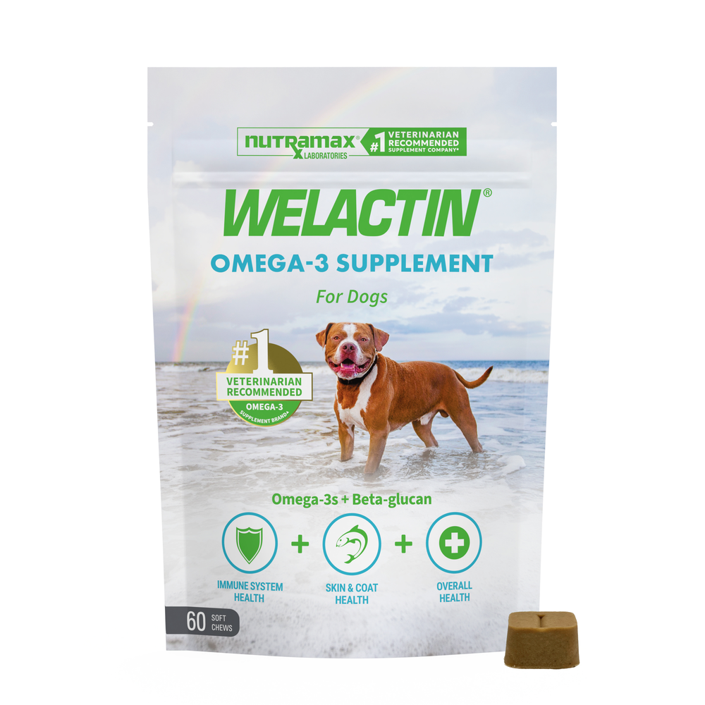 Nutramax Welactin for Dogs Soft Chews, 60ct