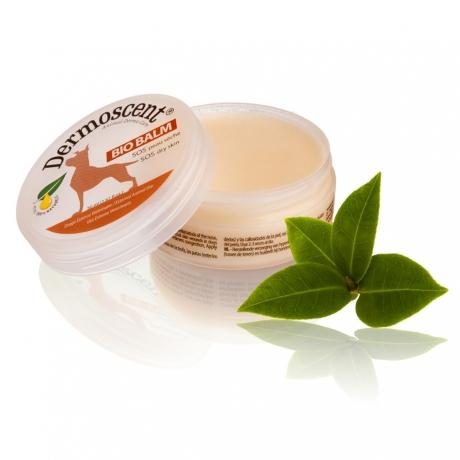 Dermoscent BioBalm for Dogs 50ml Jar