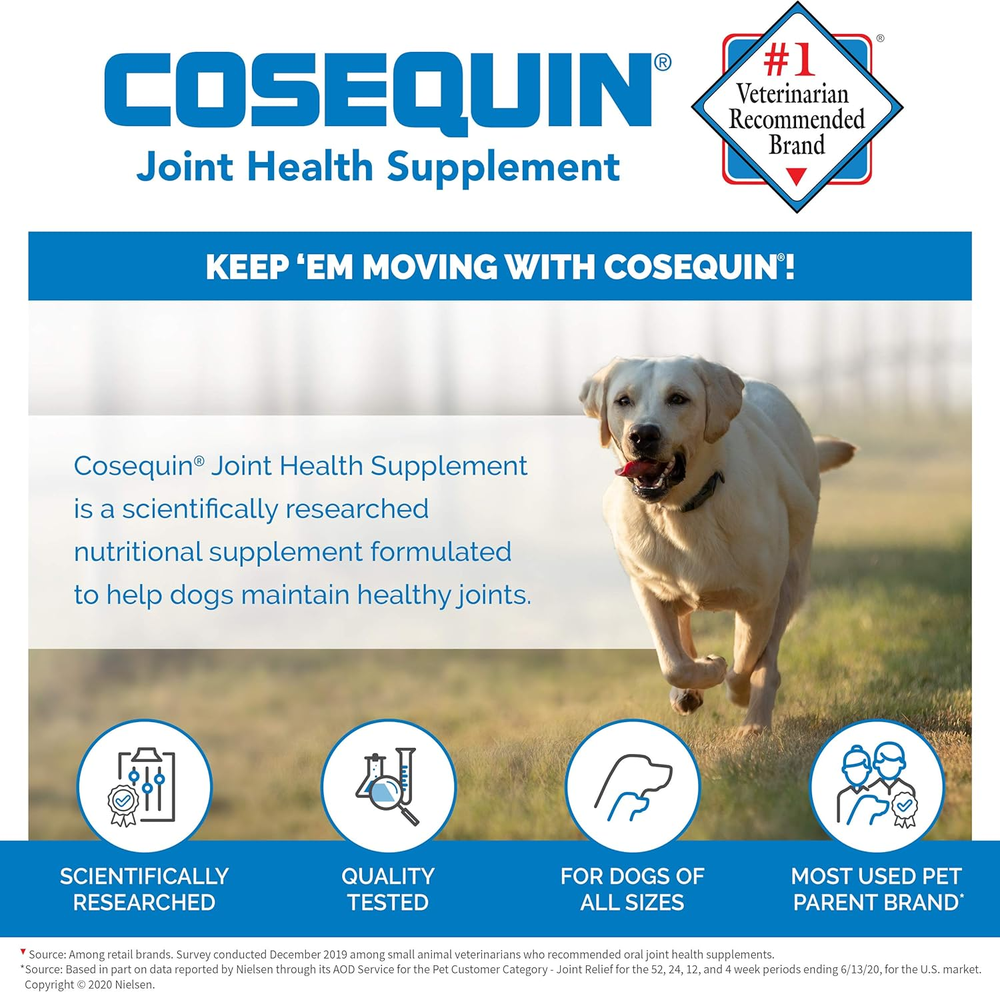 Nutramax Cosequin DS Plus MSM & Boswellia Professional Line for Dogs, 60ct Soft Chews
