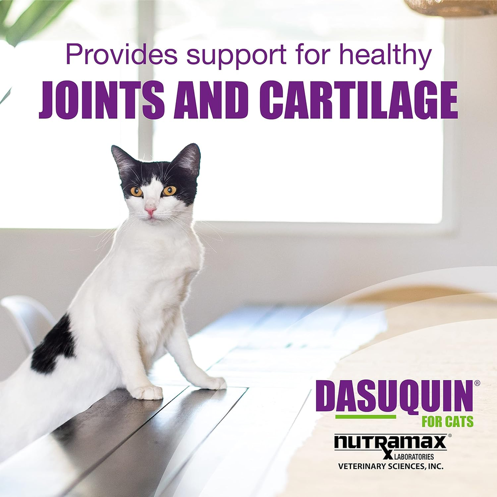 Nutramax Dasuquin for Cats, 84ct Soft Chews
