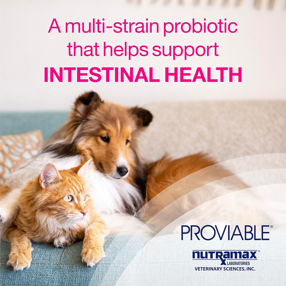 Nutramax Proviable Forte for Cats & Dogs