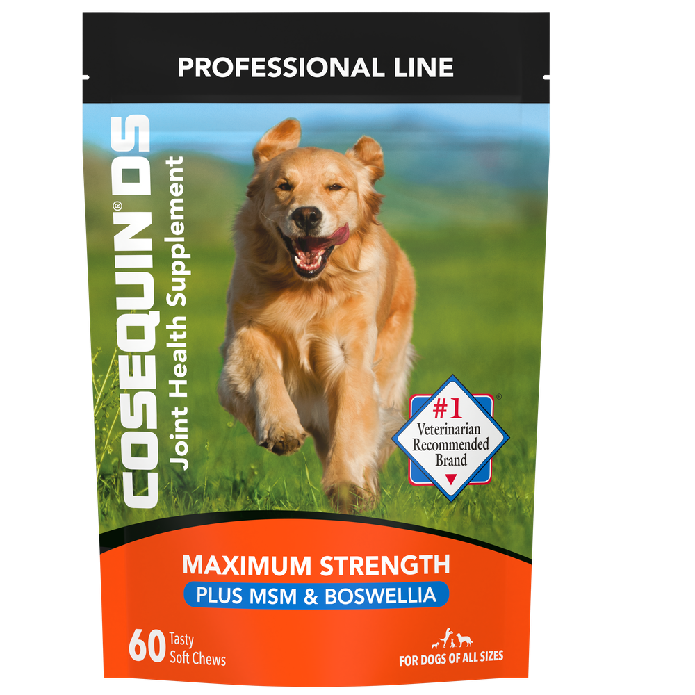 Nutramax Cosequin DS Plus MSM & Boswellia Professional Line for Dogs, 60ct Soft Chews