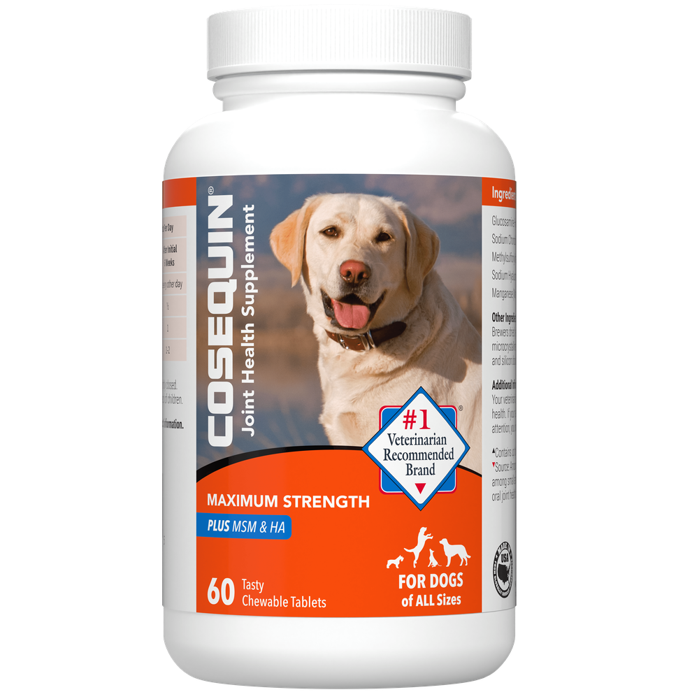 Nutramax Cosequin DS Maximum Strength for Dogs with MSM & HA, 60ct Chewable Tablets