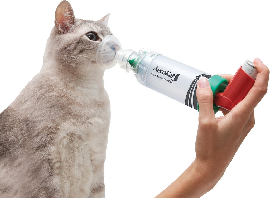 AeroKat Feline Aerosol Chamber: Small and Medium Mask