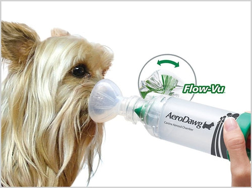 AeroDawg K9 Aerosol Chamber for Dogs