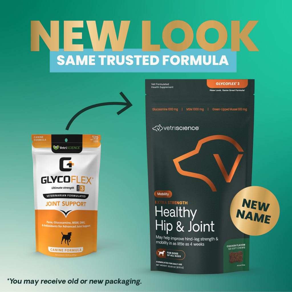 Extra Strength Healthy Hip and Joint Soft Chews for Dogs of All Sizes, Chicken Flavor, 120 Count